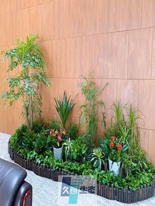 六合企业大厅绿植组合摆放